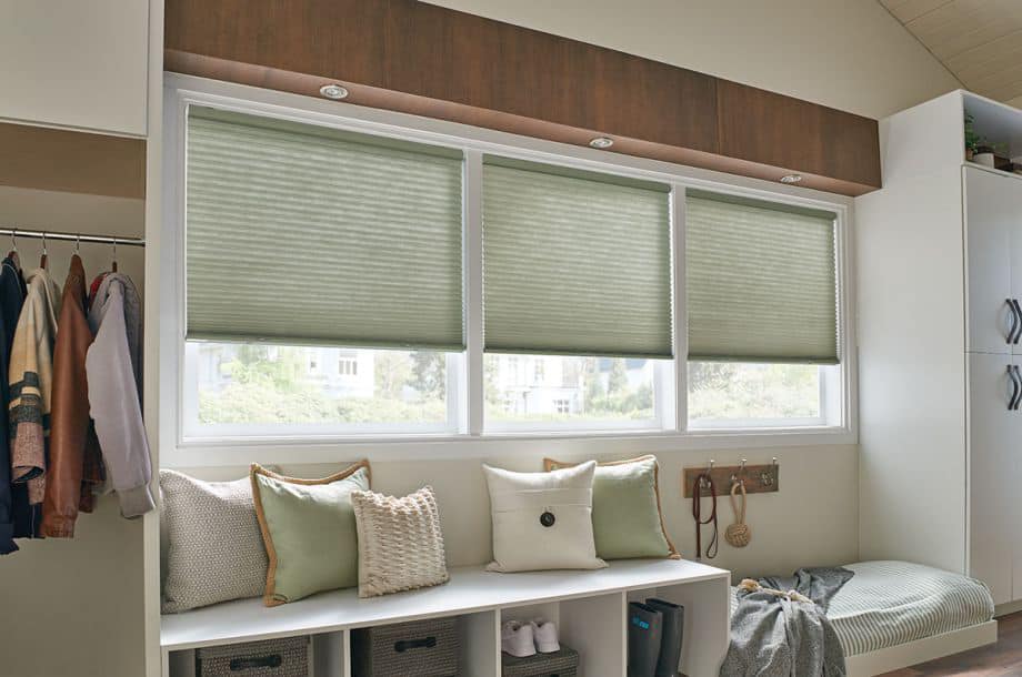 Cellular Honeycomb Shades (2)