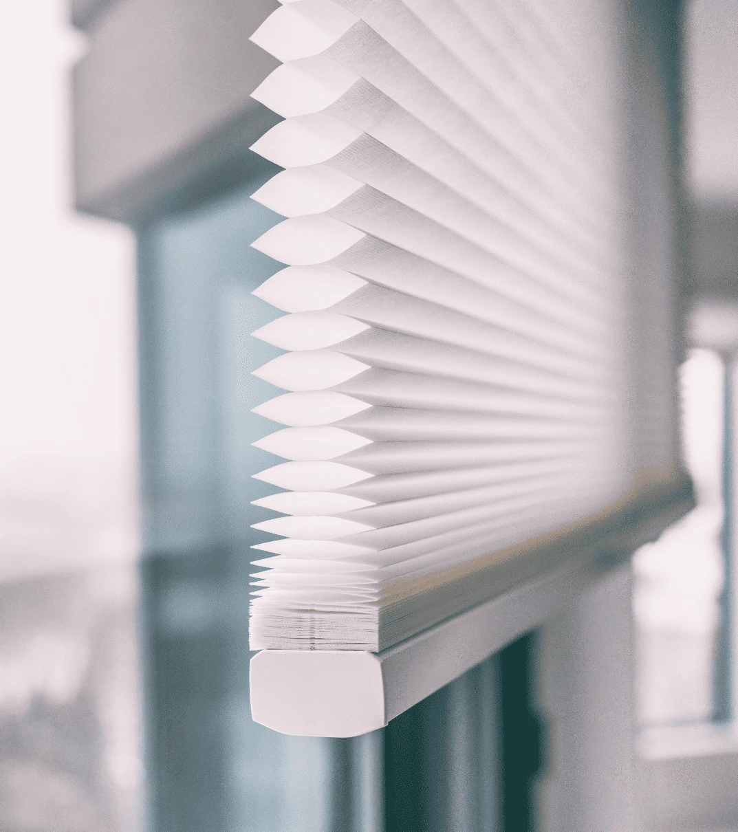 Cellular Shades 1