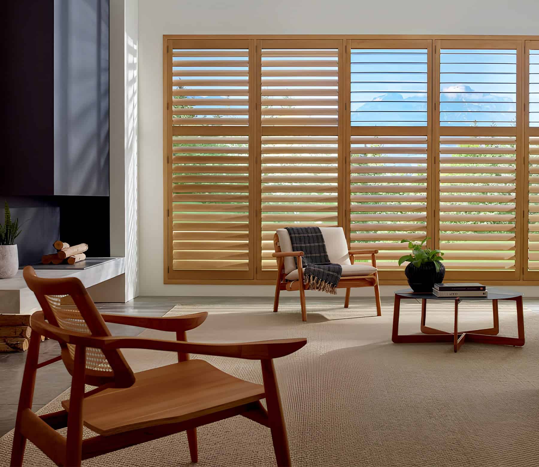 Window Shutter Styles 2